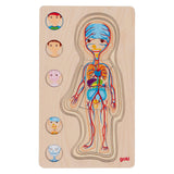 Goki lesena plast puzzle človeško telo, 29.