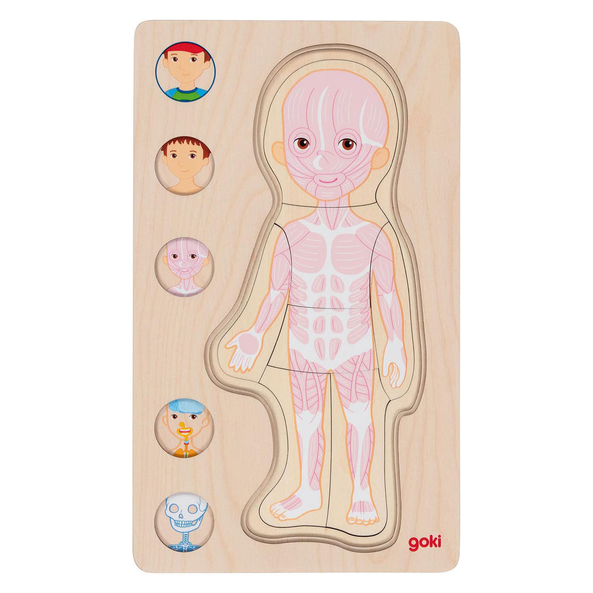 Goki lesena plast puzzle človeško telo, 29.