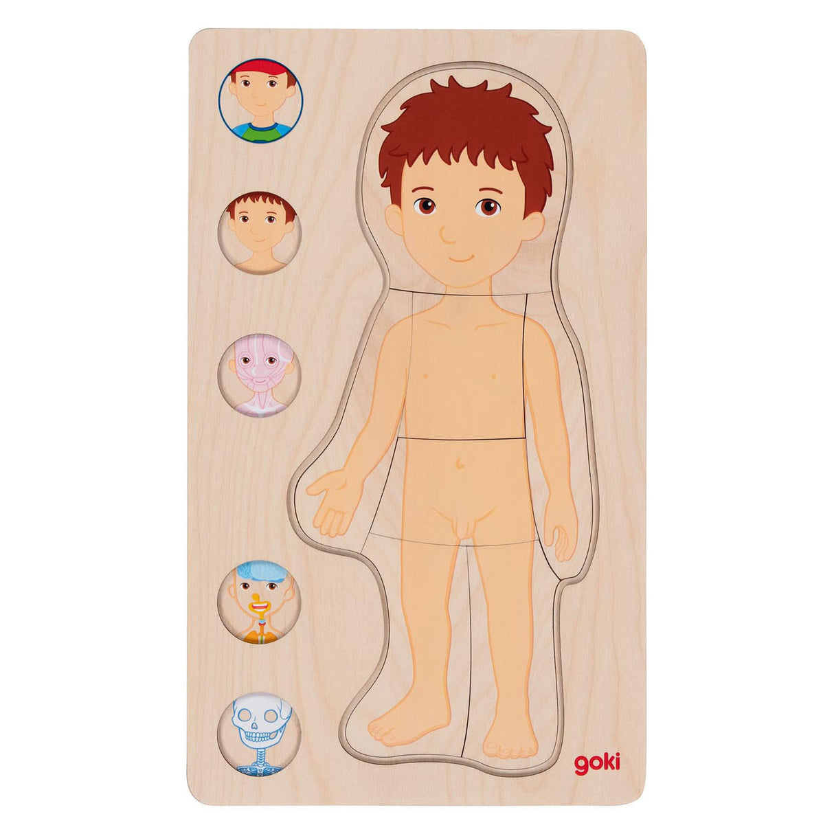 Goki lesena plast puzzle človeško telo, 29.