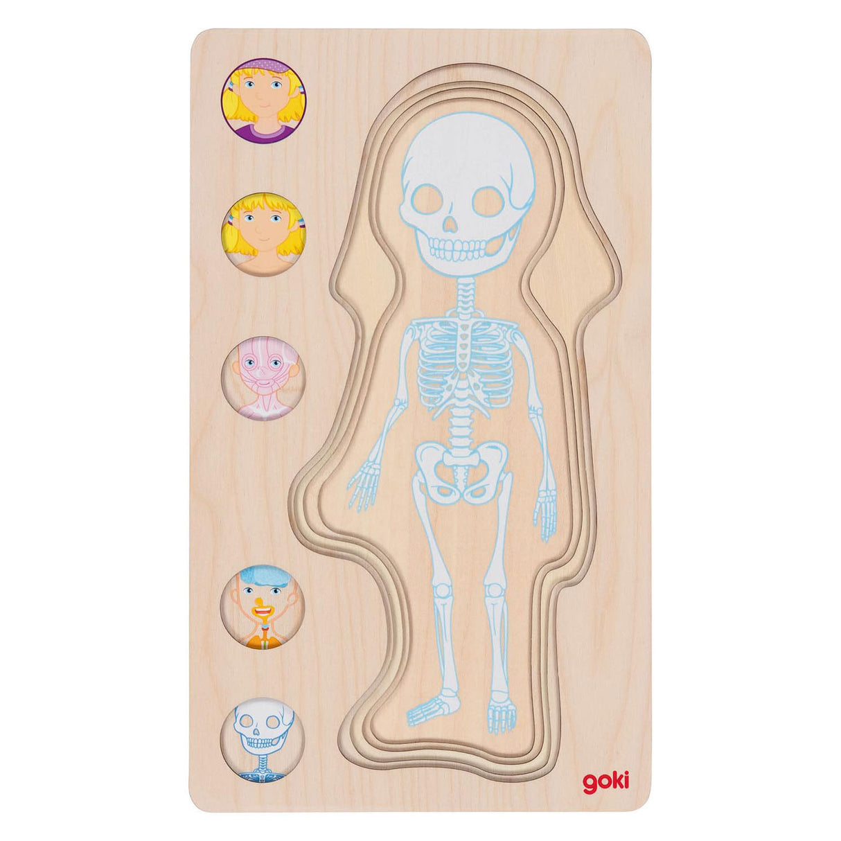 Goki lesena plast puzzle človeško telo, 29.