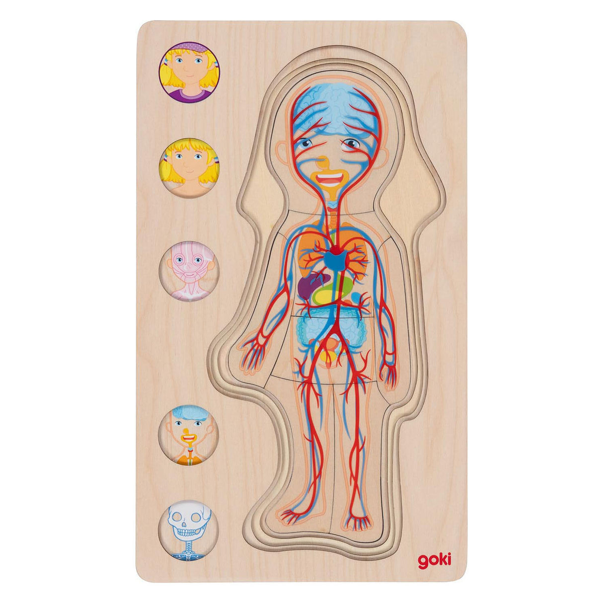 Goki lesena plast puzzle človeško telo, 29.