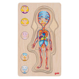 Goki lesena plast puzzle človeško telo, 29.