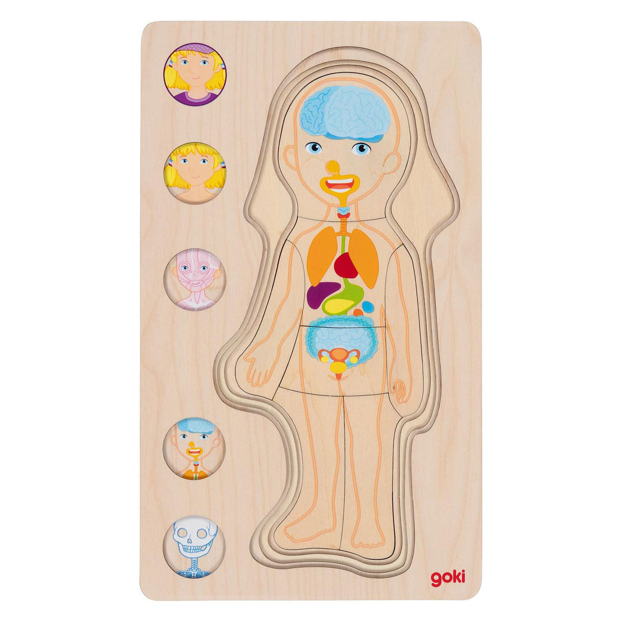 Goki lesena plast puzzle človeško telo, 29.