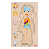 Goki lesena plast puzzle človeško telo, 29.