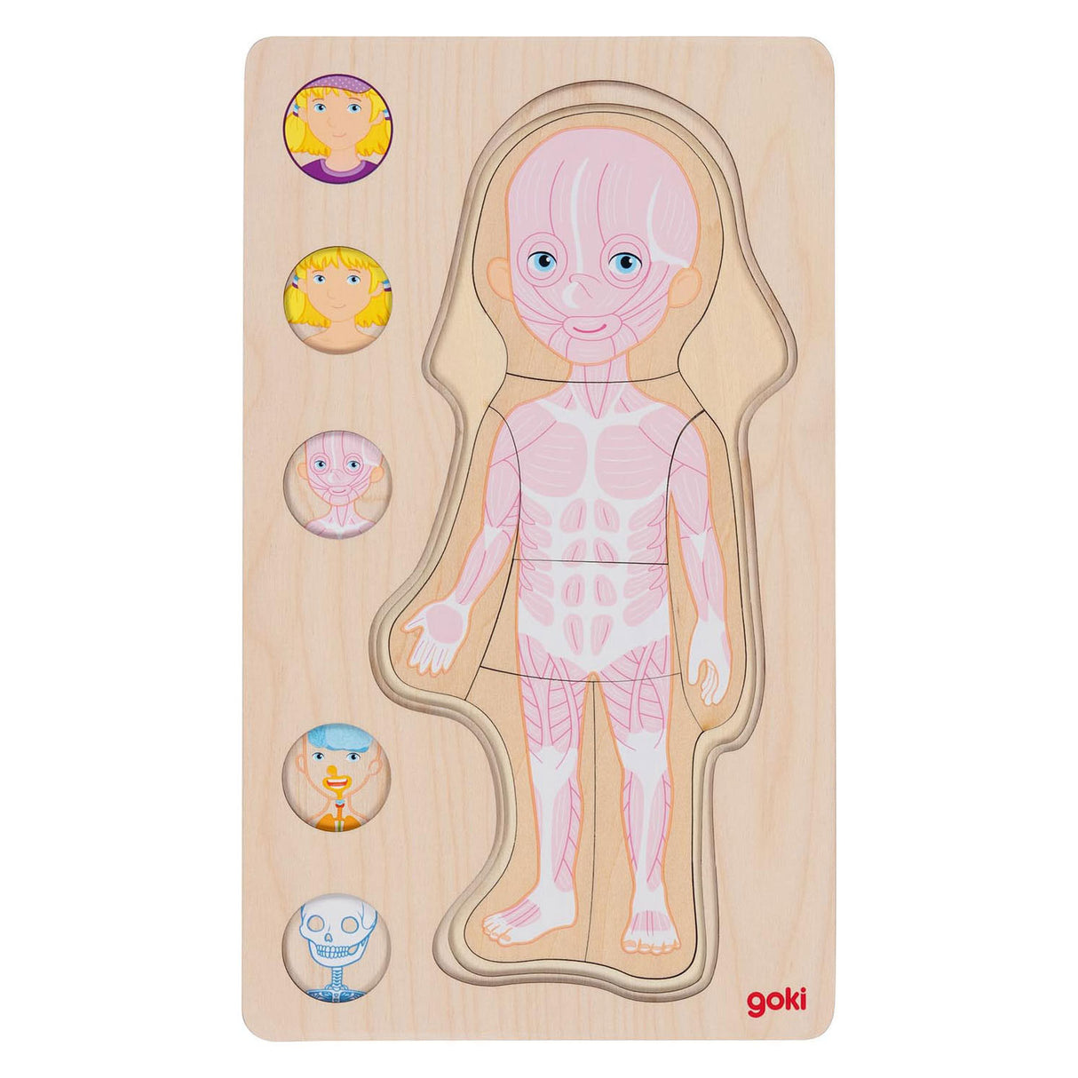 Goki lesena plast puzzle človeško telo, 29.