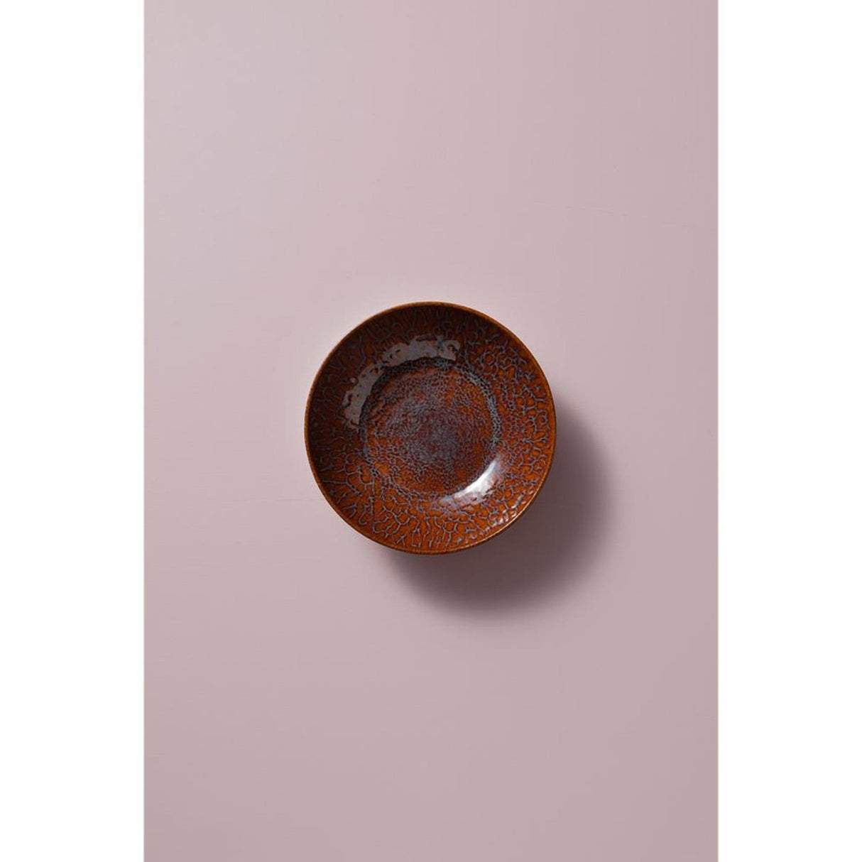 Palmer schaaltje magmatic 17cm coupe bruin 6st