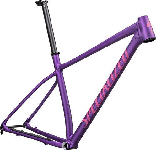Specialized Chisel Hardtail 29 frameset