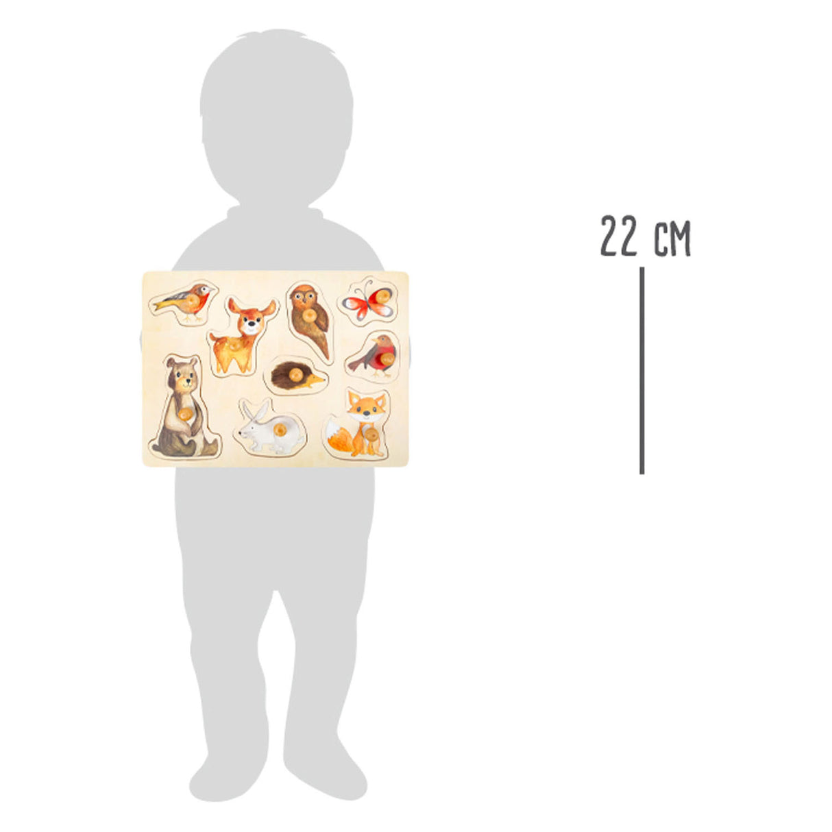 Дървен мехурчета с малък крак горски животни, 9 -ви.