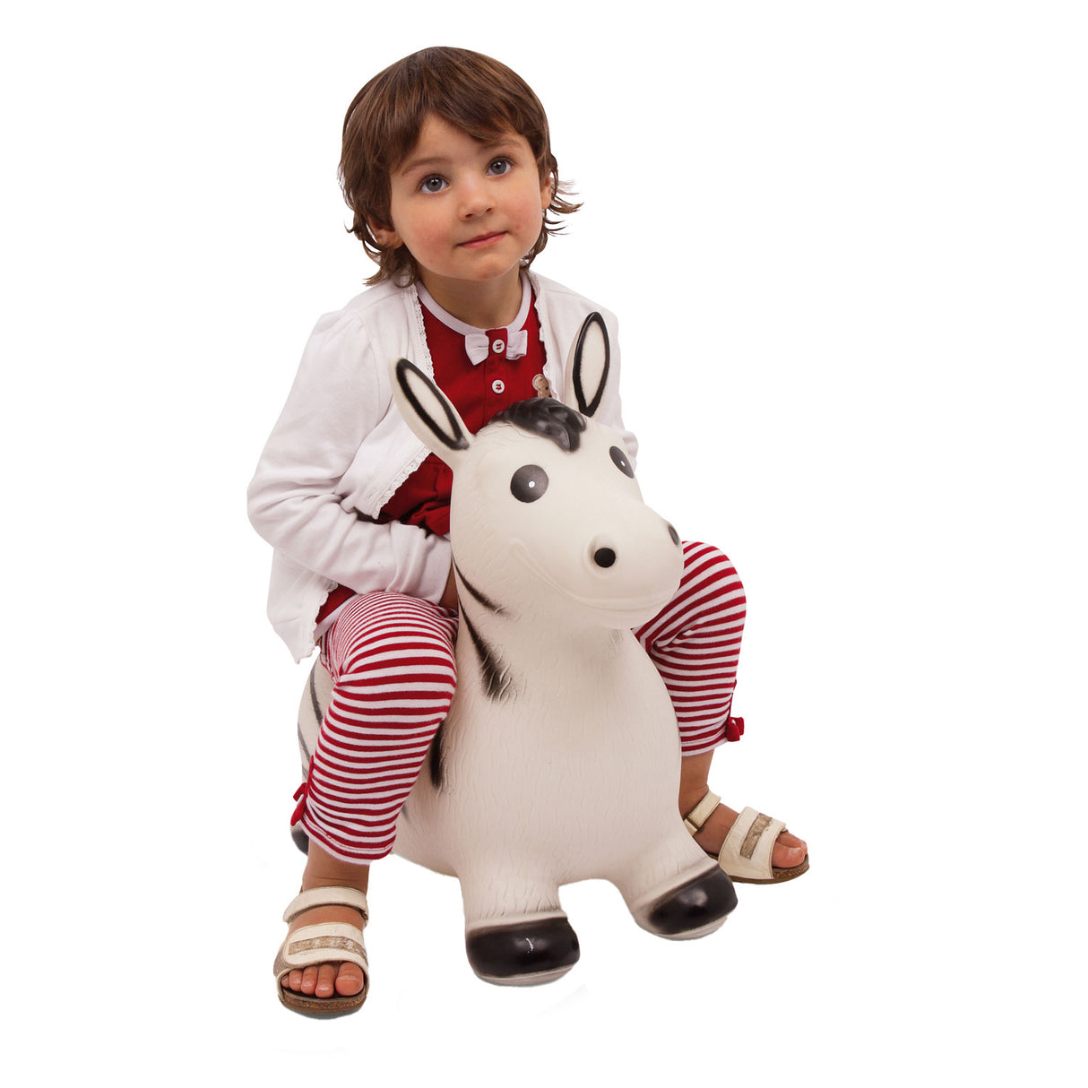 Malá noha - Skippydier zebra