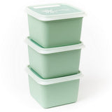 Dbp alaska freezer boxes square 0.75l 3 pieces mint green