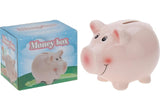 Piggy bank pink