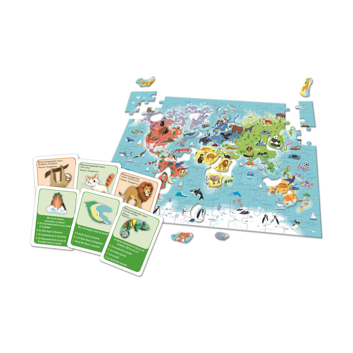 Clementoni Education Descubra o mundo