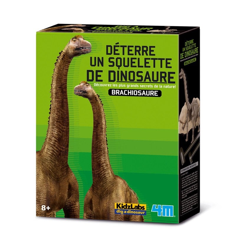4m Dig Your Own Dinosaur at the T Rex Kidz Labs