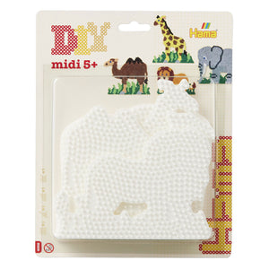 Descriptive image text