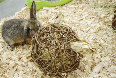 Nature First Happy Pet Playball willow