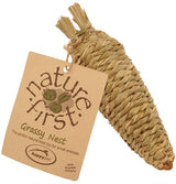 Happy pet carrot grass