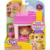Mini mama surprise mini hamster little live pets