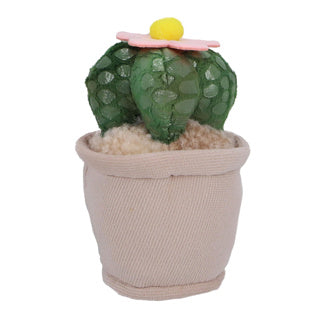 Piante peluche di pluhiez 15 cm Assorti