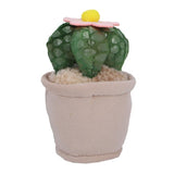 Piante peluche di pluhiez 15 cm Assorti