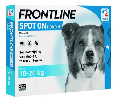 Spot del cane in prima linea su Medium