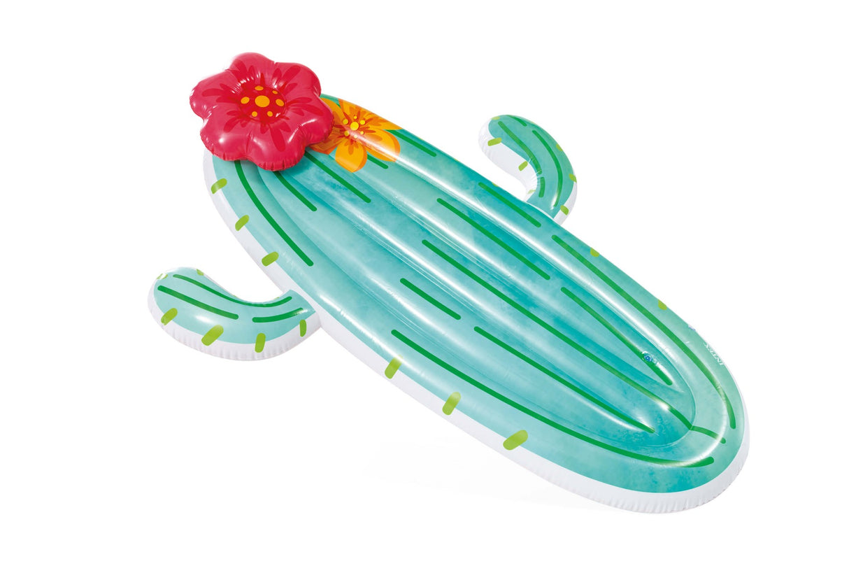 Intex 58793EU Cactus Float