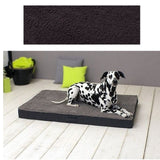 Sun Garde Buddy orthopedic Dog Këssen 120x7x10cm Anthhacite