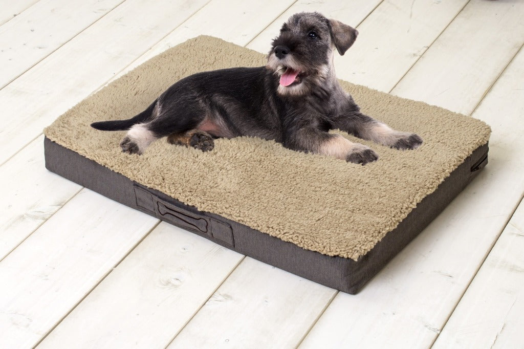Sun Garden Sun Garden Buddy Orthopedic dog cushion 120x72x10cm Beige Donkerbuin