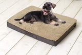 Sun Garden Sun Garden Buddy Orthopedic dog cushion 120x72x10cm Beige Donkerbuin