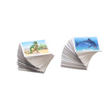 Dinosaures à mémoire de la mémoire des Ravensburger