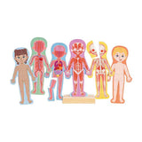 Hape emberi test mágneses puzzle - 63 darab.