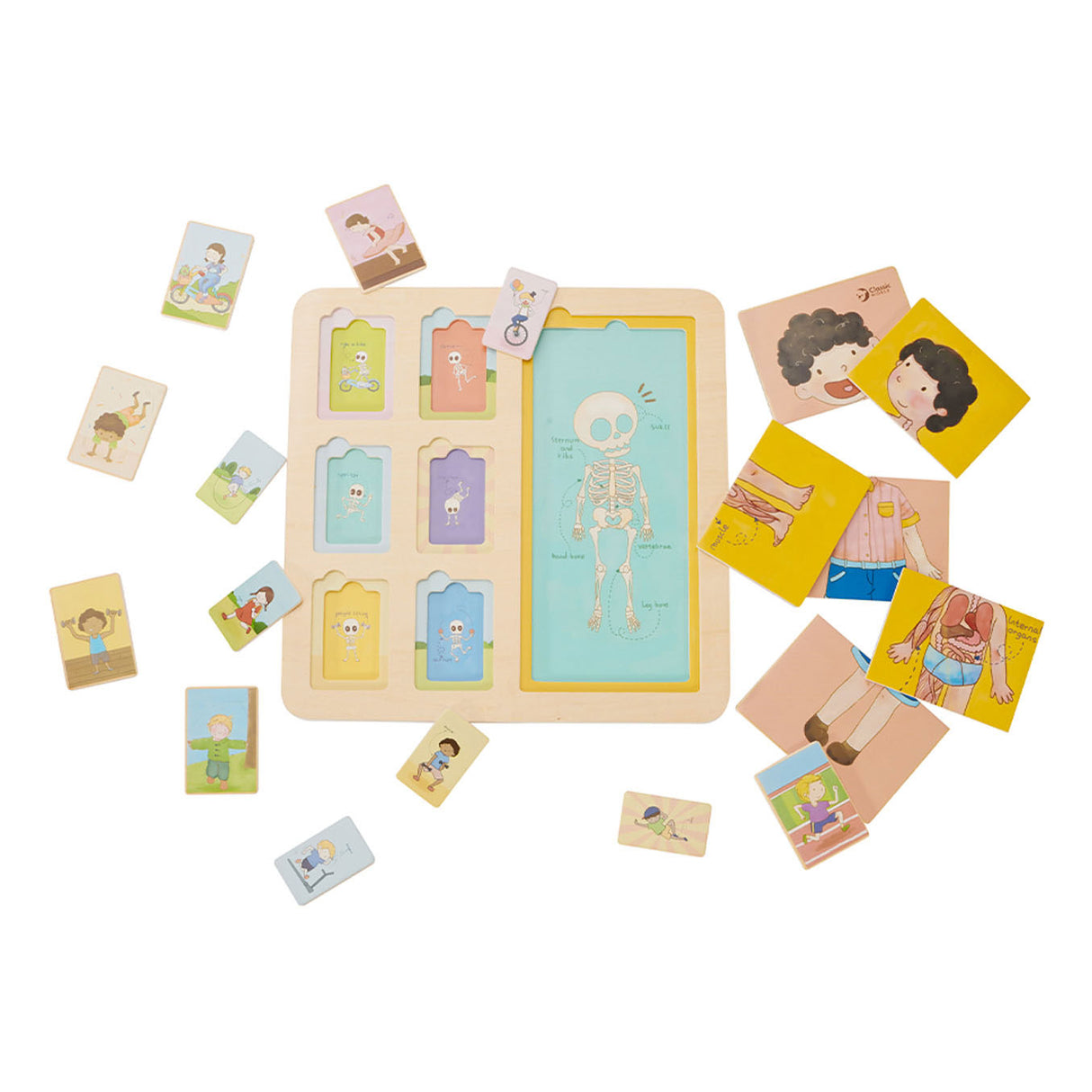 Classico puzzle a strato di legno in legno, 19dlg.