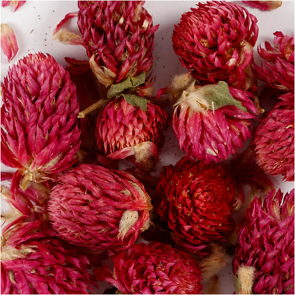 Creativ Company Dried Flowers Red Clover Purple, 15gr