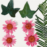 Dried flowers and leaves light red, 19dlg.