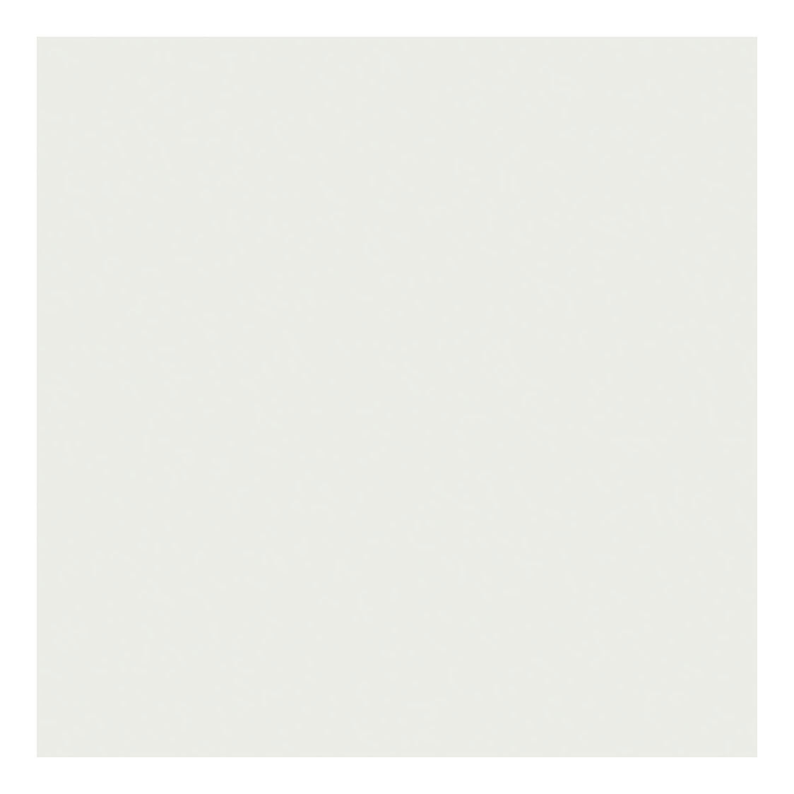 Creativ Company TissuePapier White 10 sheets 14 gr, 50x70cm