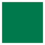Creativ Company Tissue paper Green 10 sheets 14 gr, 50x70cm