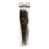 Creativ Company peacock feathers, 10 pc.