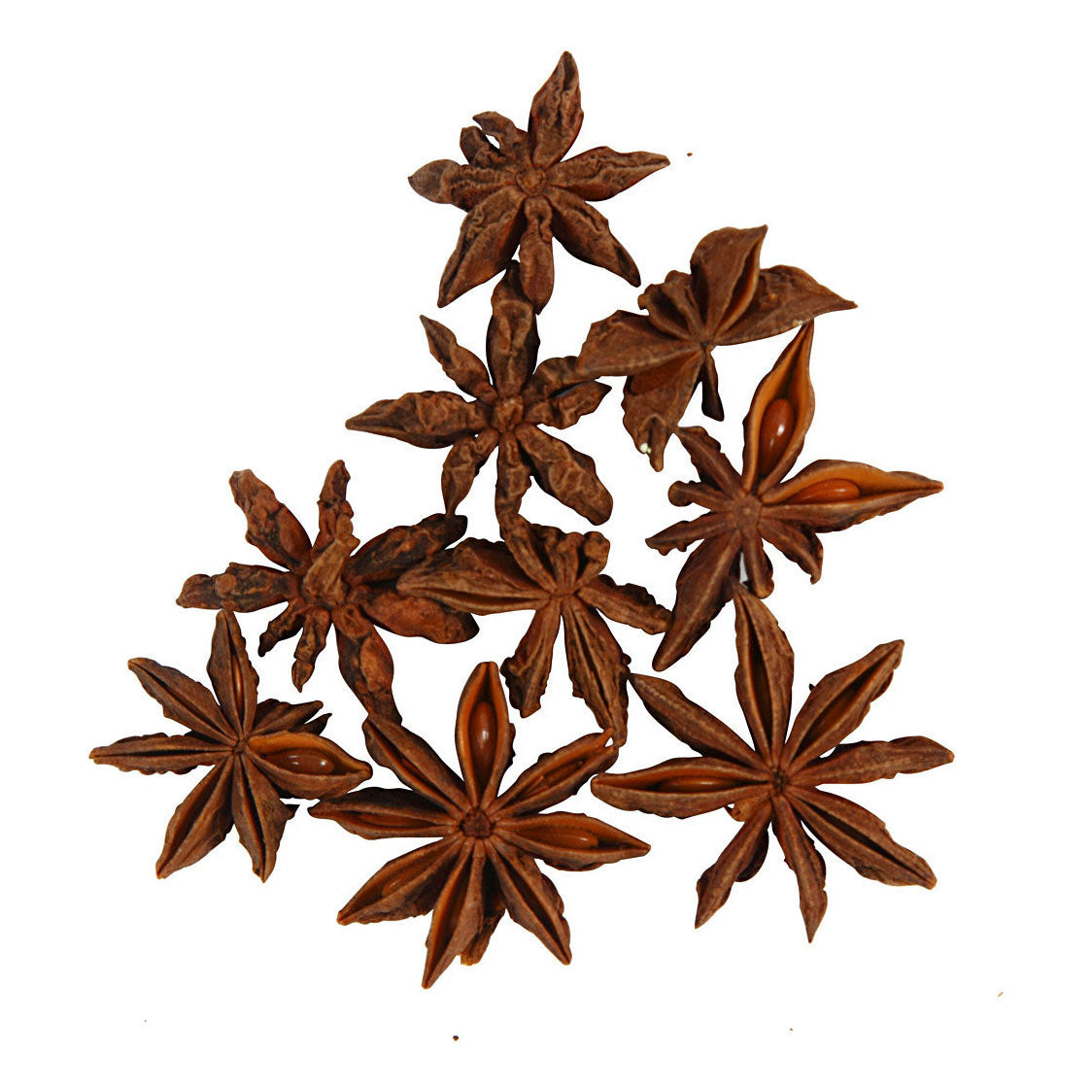 Anise réalta cuideachta Creativ, 10 píosaí 1 bhosca