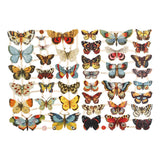 Creativ company vintage pictures, butterflies, sheet 16.5x23.5 cm, 2 sheets 1 box
