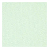 Creativ Company cardboard light green A4 220G, 10st.