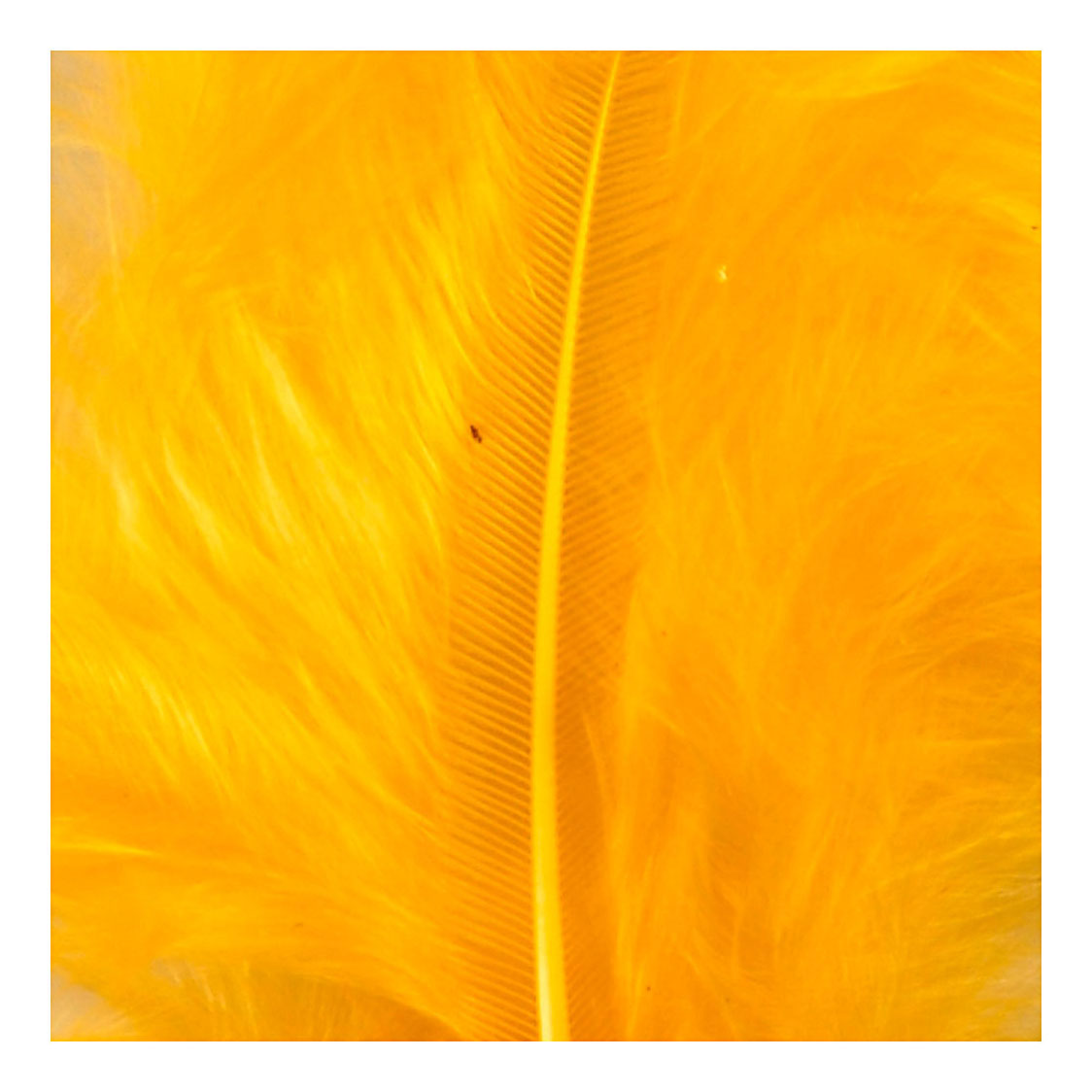 Creativ Company down yellow 5-12 cm, 15st.