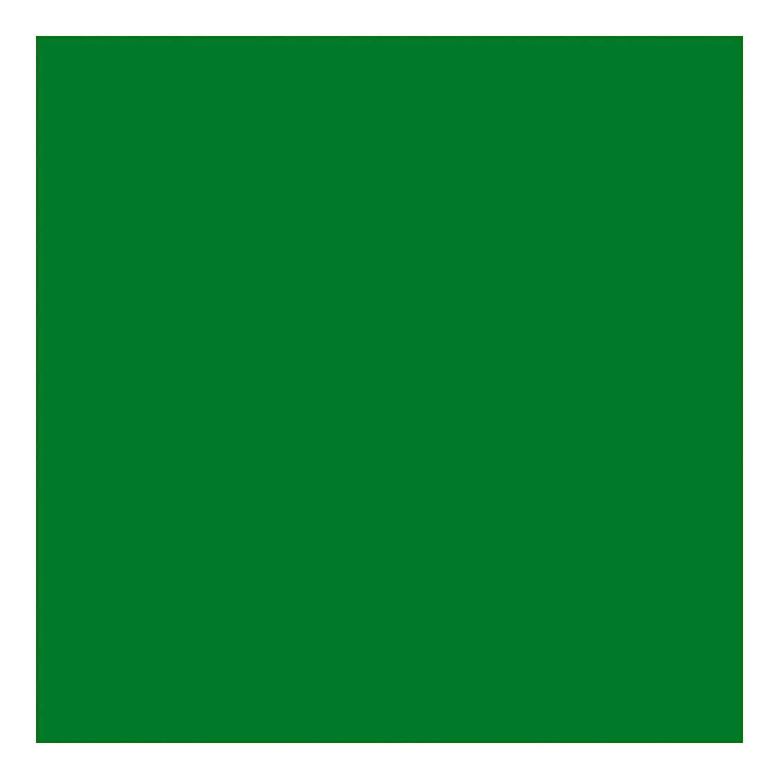 Creativ Company Textile Color Coloring Textile Paint - Brilliant Green, 50ml