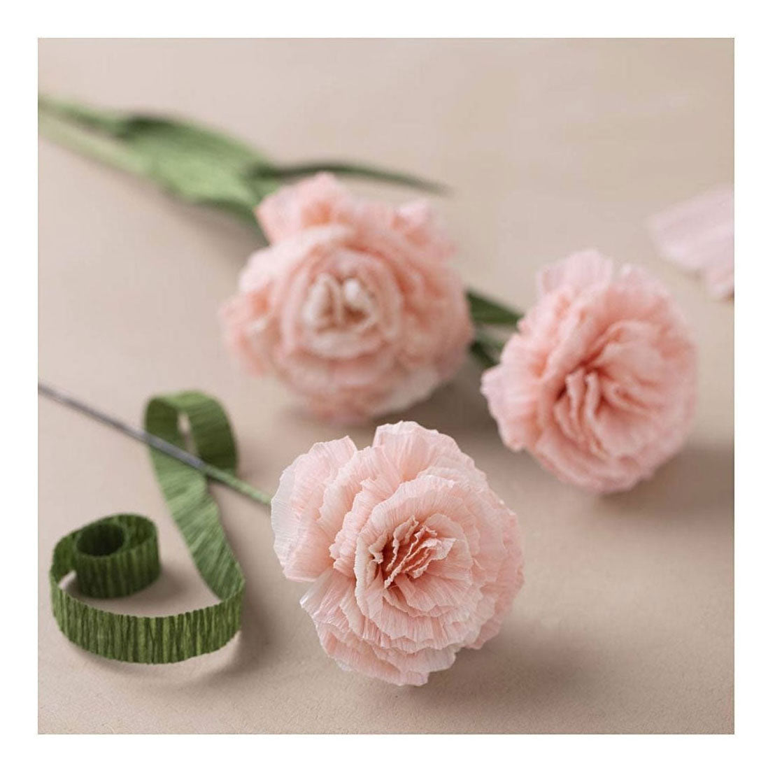 Creativ company mini hobby set crepe paper, carnations, crepe ratio: 180%, 105 gr, 1 box