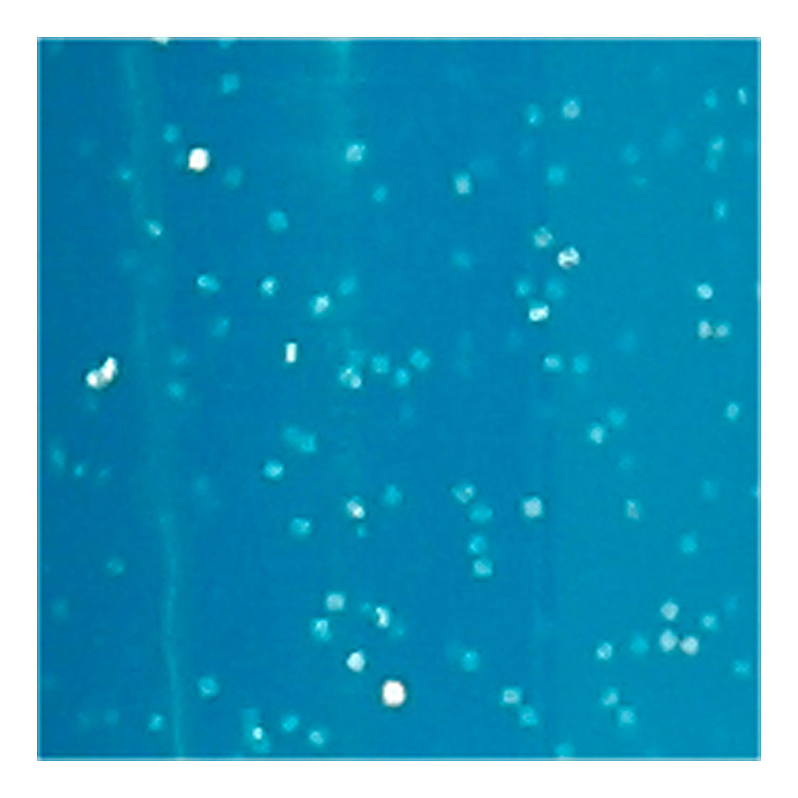 Creative Company Glass and Porcel Staff Glitter Semi-cover-turkos