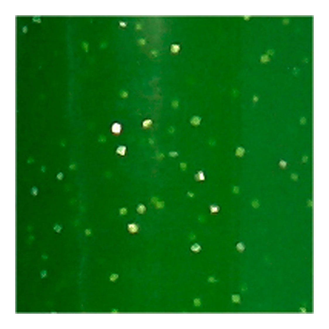 Creative Company Glass och Porslin Start Glitter Semi-cover- ljusgrön