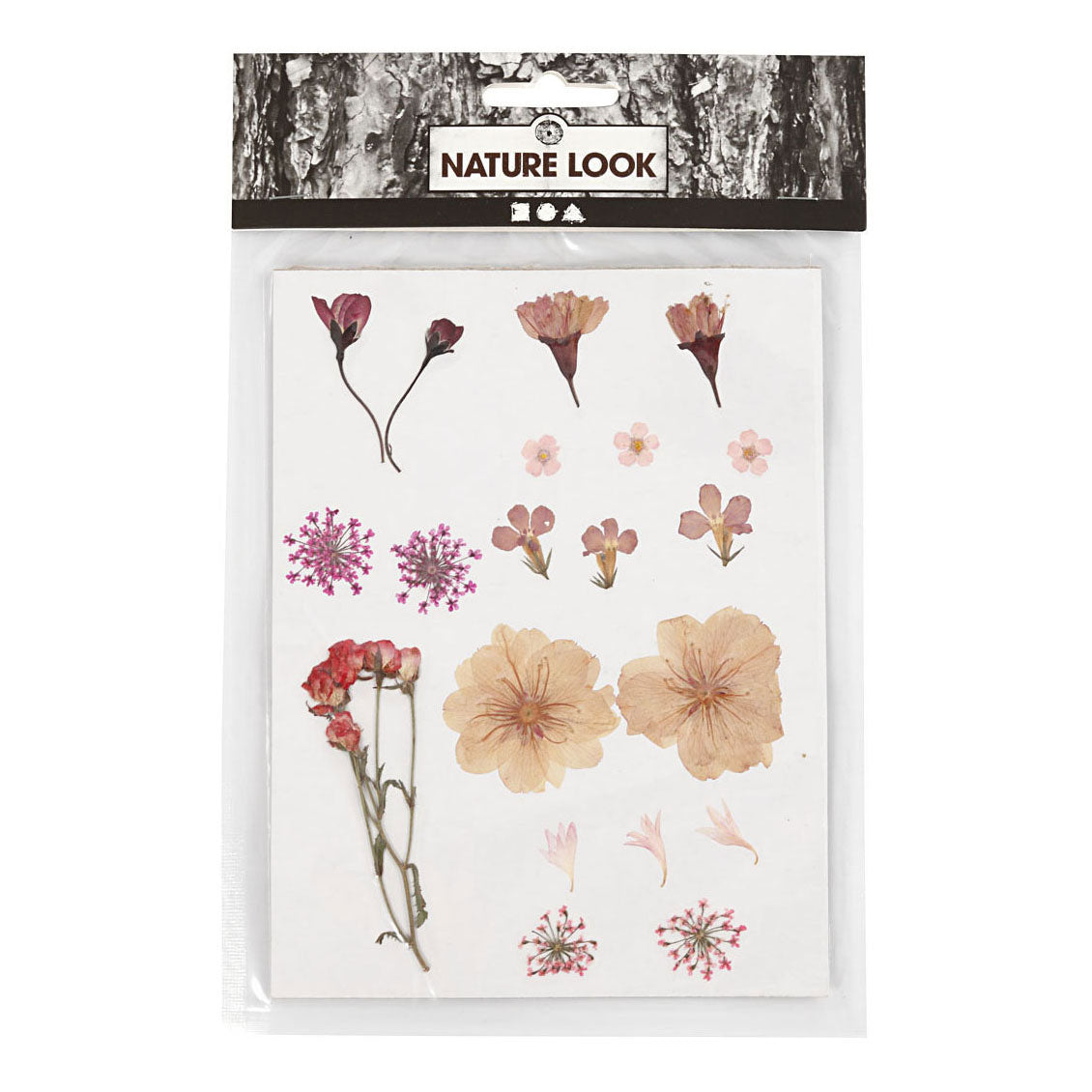 Creative Company Fiori secchi e foglie rosa chiaro