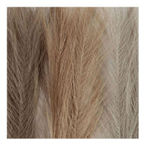 Ustvarjalno podjetje Pampasgras Beige Brown Grey, 3st.