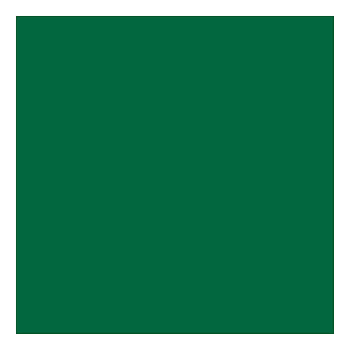 Creativ Company Paint extérieur - vert, 250 ml