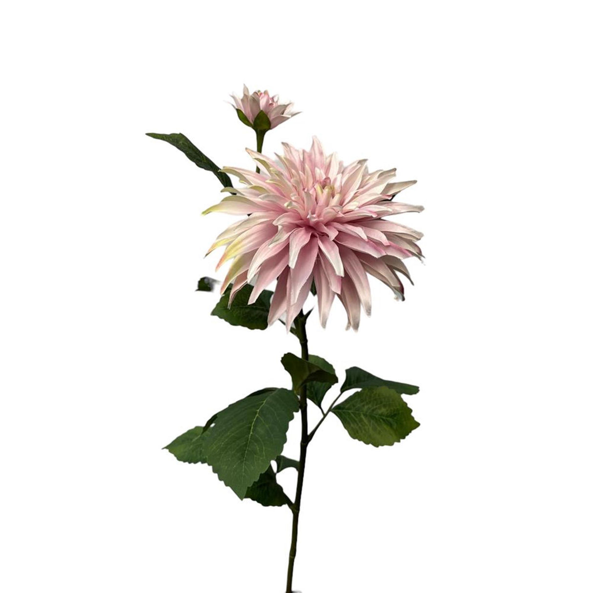 Roberts collection kunstbloem dahlia +knop spray 74cm parel