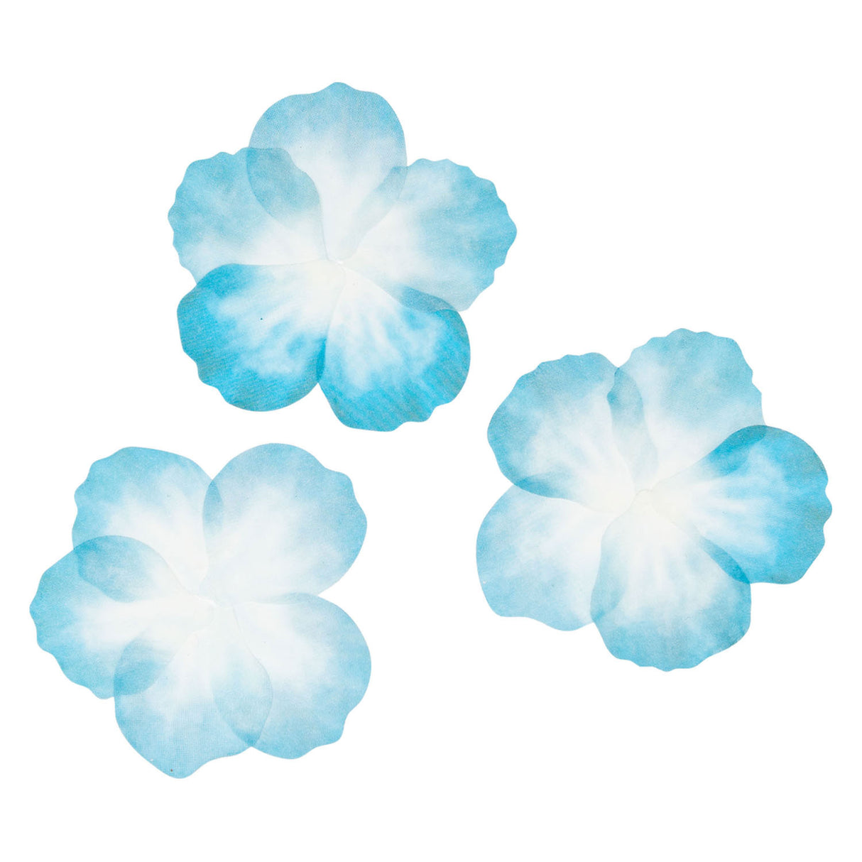Colorazioni - adesivi Washi - Petali blu, 80 °.