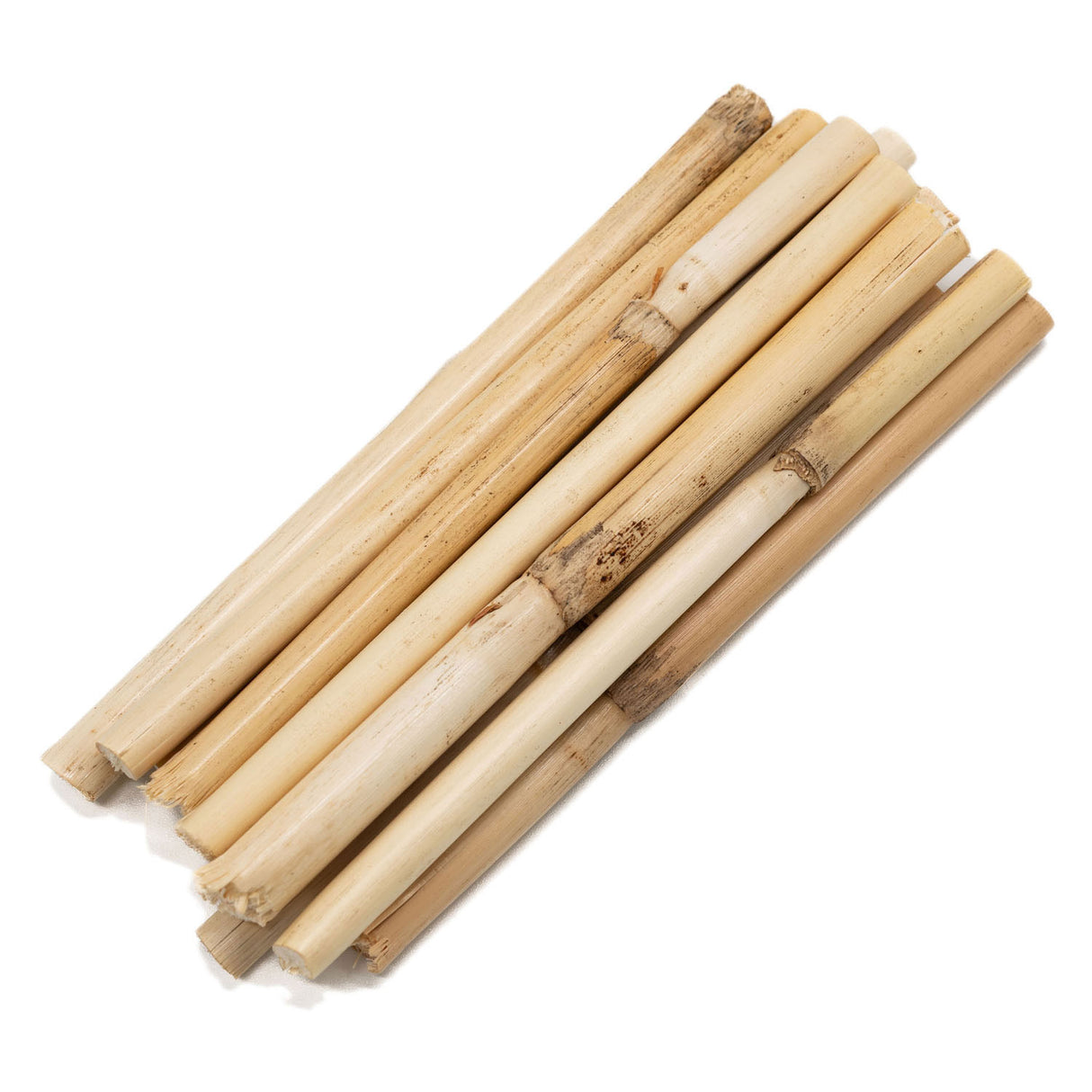 Barvne barve - Kratek Bambookkenkken 10-12cm, 10st.
